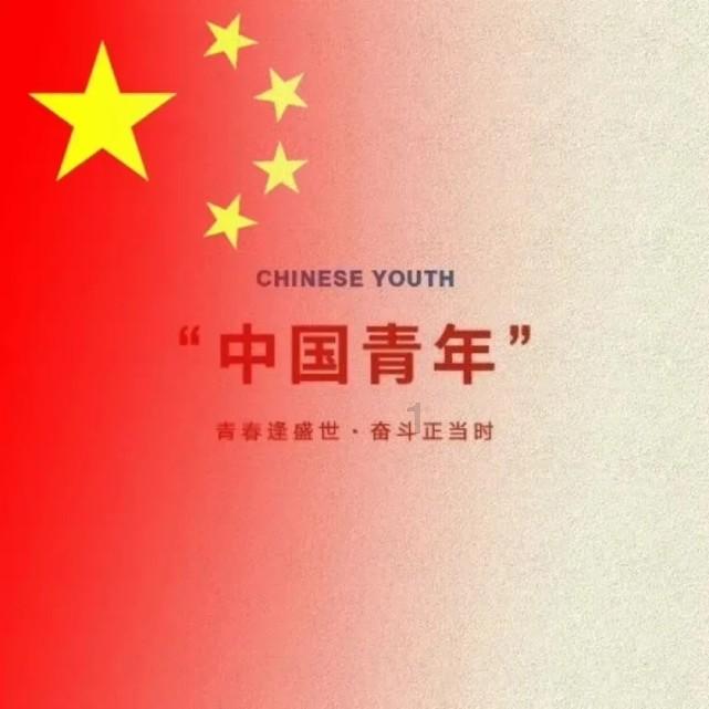 深度解读机动车违章查询平台,发现不一样的知识星球分享平台